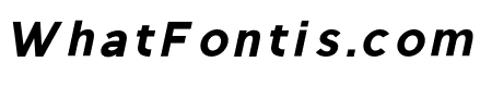 Regon-BlackItalic