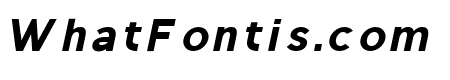 Regon Black Italic