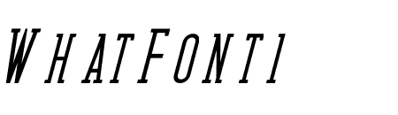 Medan Slab Italic