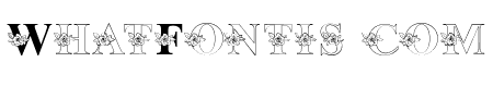 Roses Flower-Regular