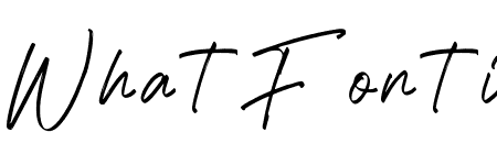 Kungfu Fighter Italic