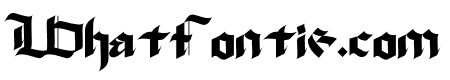 Mireda Bold