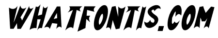 White paper Italic