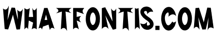 right paper