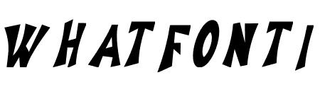 viwer molita Italic