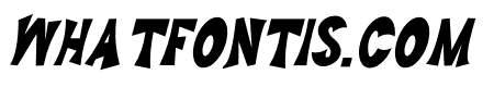 vivier bold Italic