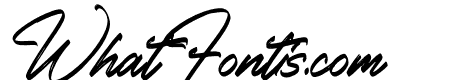 Western Cowboys Italic