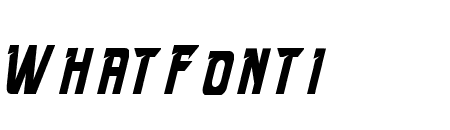 Speed Endurance Light Italic