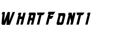 Speed Endurance Medium Italic