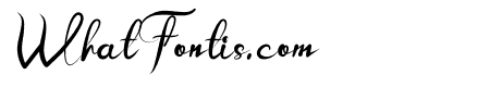 Delivery Bold Italic