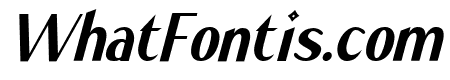 Stay High Italic