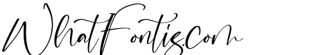 Noisette Rose Italic