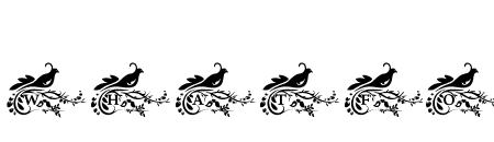 BIRDBEAUTYMONOGRAM