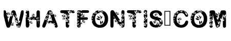 Floral3 Regular