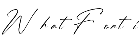 The Everything Italic