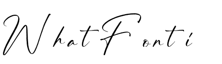 The Everything