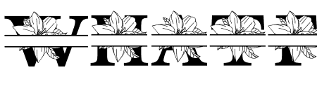Lily MNGRM Split