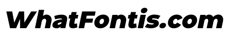 Nila Black Italic