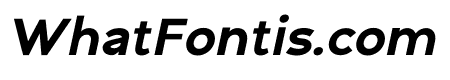 Nila Bold Italic