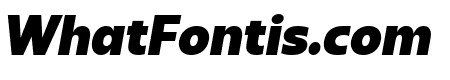 Sanshiro Black Italic