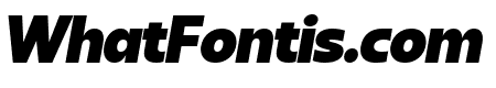Sanshiro Display Black Italic