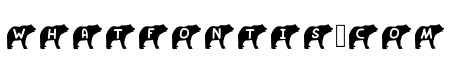 Play Bear Regular