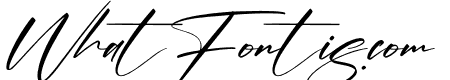 Alishanty Signature Italic