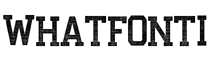 Courage Union Halftone