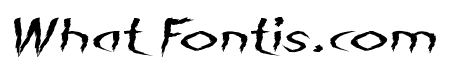 The Night Italic