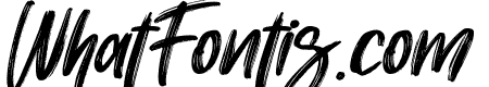 Chollistio-Italic