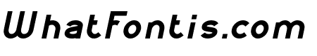 Kangaroo Punch Bold Italic