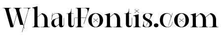 AEROBIC GEOMETRIC Regular