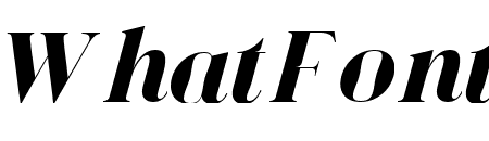 Bagoni Type Italic Italic