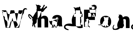 Cats Lettering