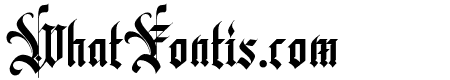 DDForges