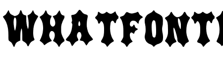 Saloon Regular