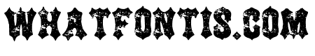 Saloon Rough Regular