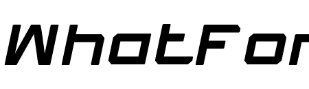 What The FUN Bold Italic