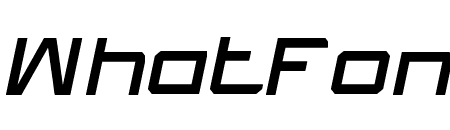 What The FUN Italic