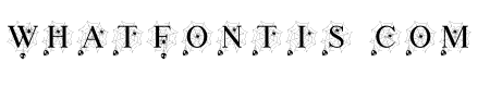 Scary Spider Monogram