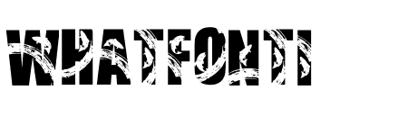 Fish And Flow