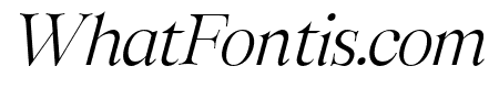 TheMinang-ThinItalic