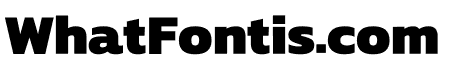 Ryver Sans Bold