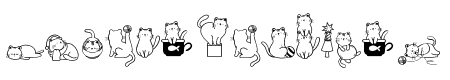 Cats Lover