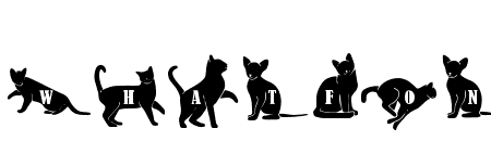 CattyMonogram