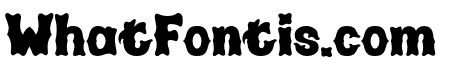 HIRIONRegular