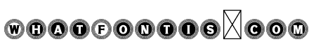 NN Chinese