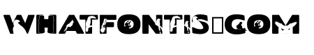Birder