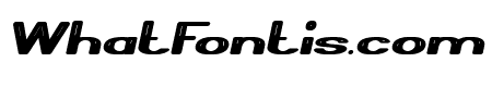 Thermometer Bold Italic