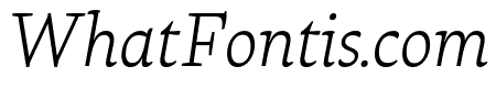Raritas ExtraLight Italic